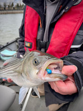 Charger l'image dans la galerie, Le Phoenix ULTIMATE