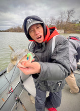 Charger l'image dans la galerie, Le Phoenix ULTIMATE