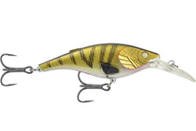 Charger l'image dans la galerie, Kinchou Shad