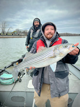 Charger l'image dans la galerie, Le Phoenix ULTIMATE