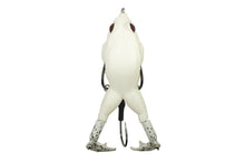 Charger l'image dans la galerie, Prop Frog