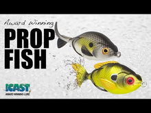 Charger et lire la vidéo dans la visionneuse de la Galerie, Prop Fish