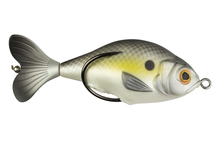 Charger l'image dans la galerie, Prop Fish