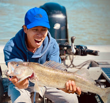 Charger l'image dans la galerie, Le Phoenix