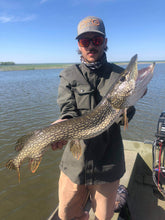 Charger l'image dans la galerie, Black Widow