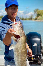 Charger l'image dans la galerie, Shaddict Curly