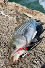 Charger l'image dans la galerie, Black Widow