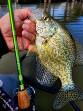 Load image into Gallery viewer, PRE-ORDER: ACC Crappie Stix 2-Piece Dock Shooter/Spinning Rod
