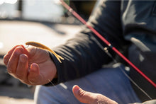 Load image into Gallery viewer, Berkley PowerBait® MaxScent Flatnose Minnow 4 po