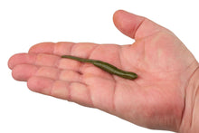 Charger l'image dans la galerie, Gulp!® SR Crawler 4 po