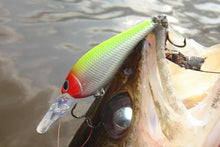 Charger l'image dans la galerie, Storm Smash Shad