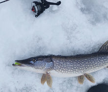 Charger l'image dans la galerie, Twitchy Bomb