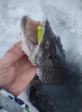 Charger l'image dans la galerie, Twitchy Bomb