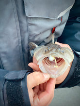 Charger l'image dans la galerie, T-Shot 2 po