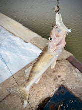 Charger l'image dans la galerie, Plomb-tête "Cheburashka" en tungstène