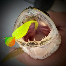 Charger l'image dans la galerie, Twitchy Bomb