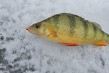 Charger l'image dans la galerie, Tungsten Ice Jig