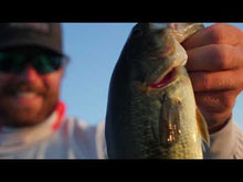 Charger et lire la vidéo dans la visionneuse de la Galerie, Attractant Liquid Mayhem