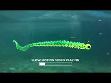 Charger et lire la vidéo dans la visionneuse de la Galerie, Ring Worm 4 po