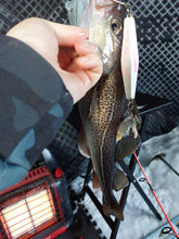 Charger l'image dans la galerie, Deep Diamond Ultra Glow