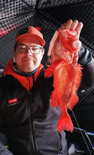 Charger l'image dans la galerie, Deep Diamond Ultra Glow