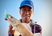 Charger l'image dans la galerie, Swimmy Scent 3,5 po et 4,25 po (avec attractant)