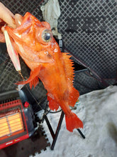 Charger l'image dans la galerie, Deep Diamond Ultra Glow