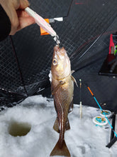 Charger l'image dans la galerie, Deep Diamond Ultra Glow