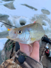 Charger l'image dans la galerie, Tungsten Ice Jig