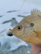 Charger l'image dans la galerie, Tungsten Ice Jig