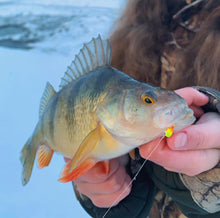 Charger l'image dans la galerie, Tungsten Ice Jig