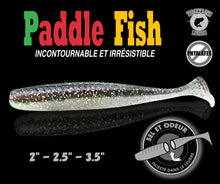 Load image into Gallery viewer, Paddle Fish 2.5&quot; and 3.5&quot;
